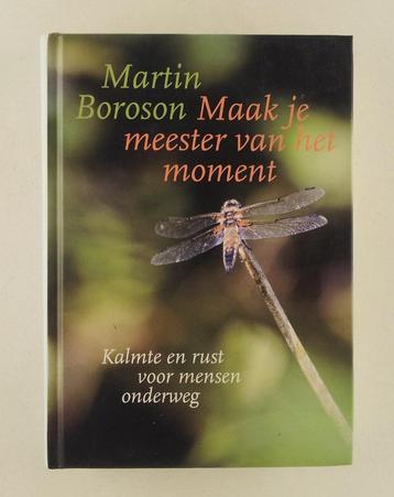 Boroson, Martin - Maak je meester van het moment / kalmte en beschikbaar voor biedingen