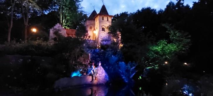 5 Efteling Oud & Nieuw Tickets - €100,- p.s., Tickets en Kaartjes, Recreatie | Pretparken en Attractieparken, Drie personen of meer