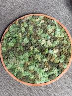 Moskader, Ophalen of Verzenden