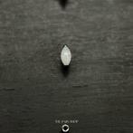 Tragus Jewelry, Ophalen of Verzenden, Nieuw, Overige materialen, Oor- of Traguspiercing