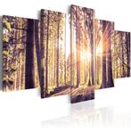 659 Zonlicht Bos Bomen 5 Luik Canvas Schilderij 200x100cm, Ophalen of Verzenden