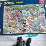Jumbo Jan van Haasteren Safari Puzzel 3000 stukjes, Ophalen of Verzenden, Meer dan 1500 stukjes, Zo goed als nieuw, Legpuzzel