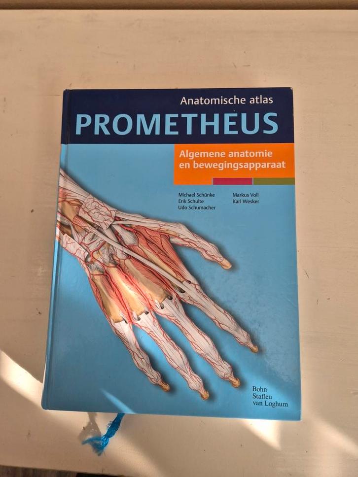 Studieboeken Psychologie, Haptonomie, Medische kennis, Boeken, Studieboeken en Cursussen, Zo goed als nieuw, Beta, Ophalen