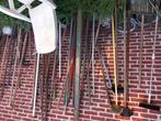 Schoffels harken drietand scheppen en meer tuingereedschap, Tuin en Terras, Hand-tuingereedschap, Ophalen, Zo goed als nieuw, Hark