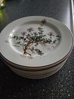 Villeroy & Boch ontbijtborden Botanica, Huis en Inrichting, Keuken | Servies, Ophalen, Zo goed als nieuw, Bord(en), Overige stijlen