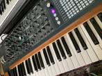 ARTURIA POLYBRUTE, Muziek en Instrumenten, Synthesizers, Ophalen, Zo goed als nieuw, Overige aantallen, Overige merken