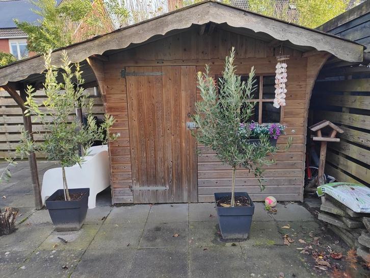 Houten Tuinhuis/Blokhut met overkapping, Tuin en Terras, Tuinhuizen, Gebruikt, Tuinhuis, Hout, 250 tot 500 cm, 200 tot 400 cm