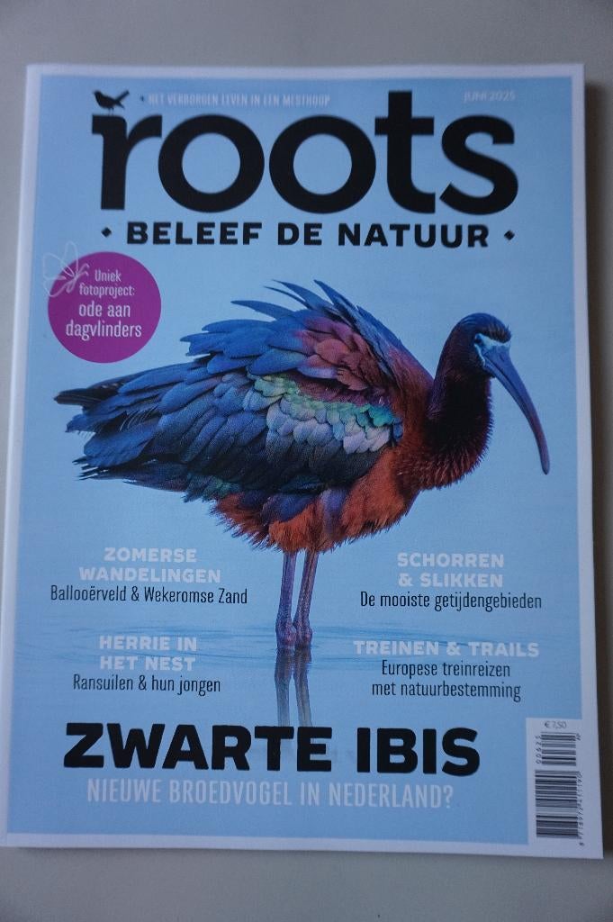 Roots magazine - Ibis uil vlinders natuur - juni 2025, Boeken, Tijdschriften en Kranten, Ophalen of Verzenden, Zo goed als nieuw