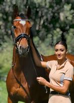 Verschillende paarden en pony's aangeboden, Dieren en Toebehoren, Paarden, 3 tot 6 jaar