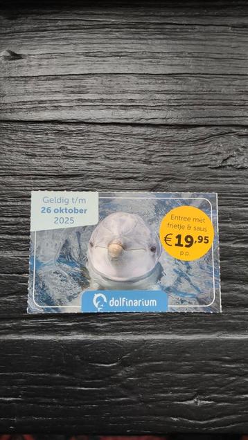 Dolfinarium kortingsbon, attractie kortingsbon,dagje uit bon beschikbaar voor biedingen