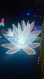 DRINGEND op zoek naar een Kamer/Studio/Appartement, Huizen en Kamers, Den Haag