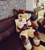 FURSUIT| FULL SUIT| FURRY SUIT, Ophalen, Carnaval, Overige maten, Fursuit