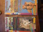 Pipa panda wnf tijdschrift voor kinderen van 3-6 jaar, Ophalen of Verzenden, Gelezen