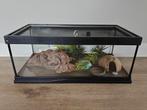 Terrarium voor reptielen incl toebehoren en warmtemat, Dieren en Toebehoren, Reptielen en Amfibieën | Toebehoren, Ophalen