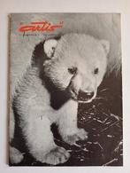 Artis Tijdschrift 1965 - IJsbeer o.a, Ophalen of Verzenden, Gelezen, Wetenschap en Natuur
