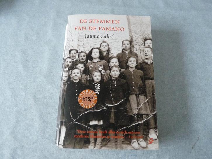 De Stemmen Van De Pamano  Auteur:Jaume Cabre, Boeken, Romans, Zo goed als nieuw, Ophalen of Verzenden