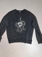 Sweater trui Loavies xs, Gedragen, Grijs, Maat 34 (XS) of kleiner, Ophalen of Verzenden