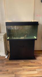 Mooi compleet juwel aquarium met onderkast 130L, Dieren en Toebehoren, Vissen | Aquaria en Toebehoren, Zo goed als nieuw, Ophalen