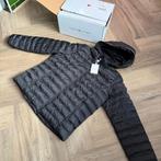 Tommy Hilfiger origineel maat xxl, Zwart, Maat 46/48 (XL) of groter, Nieuw, Ophalen of Verzenden