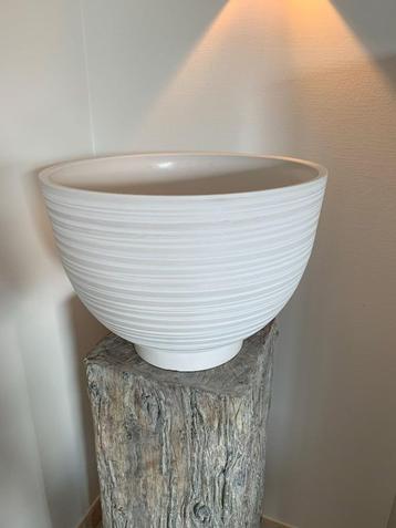 Mooie als nieuwe, grote witte bloempot, diameter 45 cm beschikbaar voor biedingen