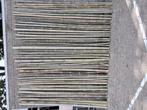 Bamboe 50 stuks, Ophalen of Verzenden, Nieuw, 250 cm of meer, Palen