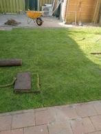 Graszoden aanleg,we lay grass Eindhoven Waalre Best Tilburg, Ophalen of Verzenden, Nieuw, 20 m² of meer