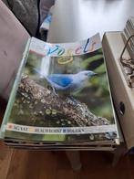 Maandblad onze vogels, Ophalen of Verzenden, Vogels