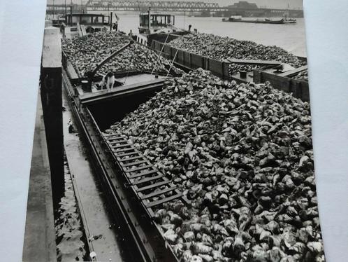 A194 Dordrecht Binnenvaart Vracht Brug, Verzamelen, Foto's en Prenten, Voor 1940, Ophalen of Verzenden