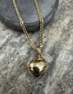14K gouden vossenstaart ketting + hanger, Ophalen of Verzenden, Nieuw, Goud, Goud