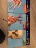 Prometheus Anatomie Atlas - Complete Set, Boeken, Ophalen, Beta, Zo goed als nieuw, HBO