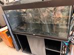 Juwel Rio 350 Aquarium, Dieren en Toebehoren, Vissen | Aquaria en Toebehoren, Ophalen, Leeg aquarium