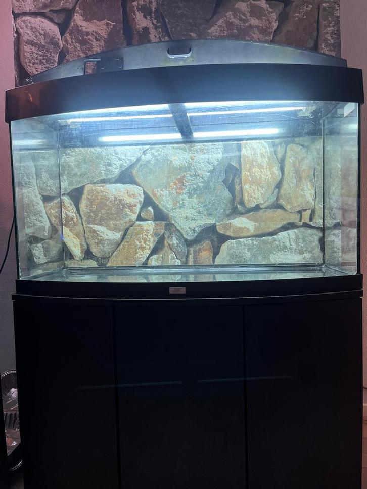 Juwel Aquarium Vision 180l + onderkast en setup, Dieren en Toebehoren, Vissen | Aquaria en Toebehoren, Zo goed als nieuw, Leeg aquarium