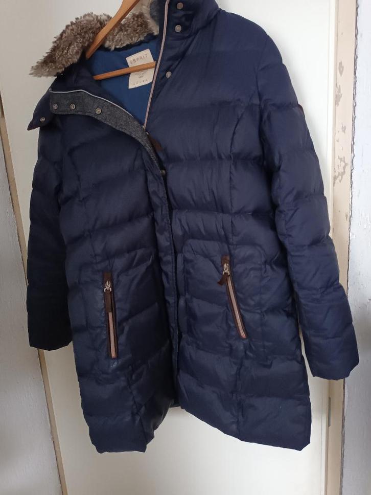 Esprit donzen blauwe winterjas jas winterjack XL Eendendons, Kleding | Dames, Jassen | Winter, Zo goed als nieuw, Maat 46/48 (XL) of groter