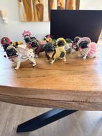 Mops honden, Ophalen, Zo goed als nieuw, Dier