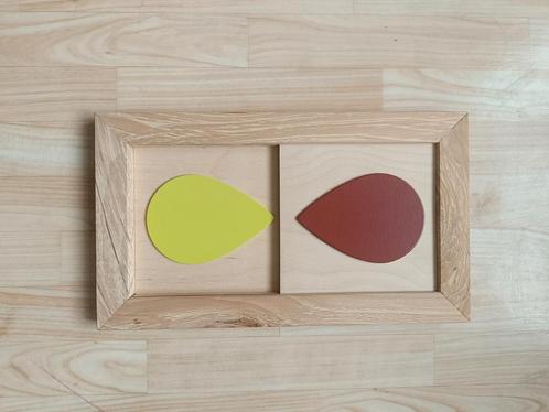 Houten model autonoom zenuwstelsel, Diversen, Schoolbenodigdheden, Ophalen of Verzenden