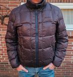 Gewatteerde Gaastra jas, Ophalen of Verzenden, Maat 52/54 (L), Rood, Gaastra