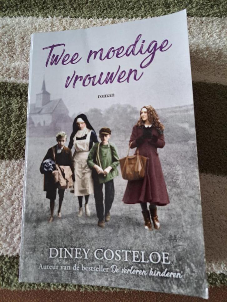 2 Boeken over Verzet in WO II, Boeken, Oorlog en Militair, Gelezen, Overige onderwerpen, Tweede Wereldoorlog, Ophalen of Verzenden