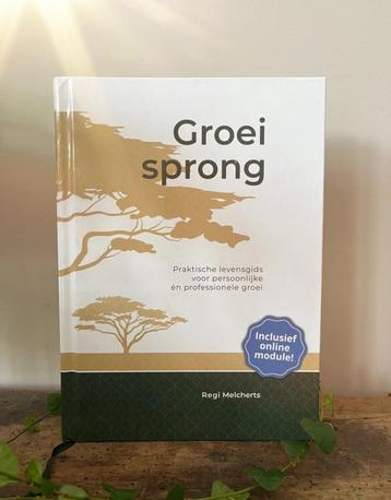 Nieuw boek: Groeisprong - Regi Melcherts beschikbaar voor biedingen