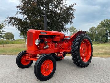 Nuffield Universal Four GERESTAUREERD Oldtimer Tractor NIEUW beschikbaar voor biedingen