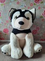 Grote Knuffel Husky - Zo Goed Als Nieuw!, Kinderen en Baby's, Speelgoed | Knuffels en Pluche, Ophalen of Verzenden, Zo goed als nieuw