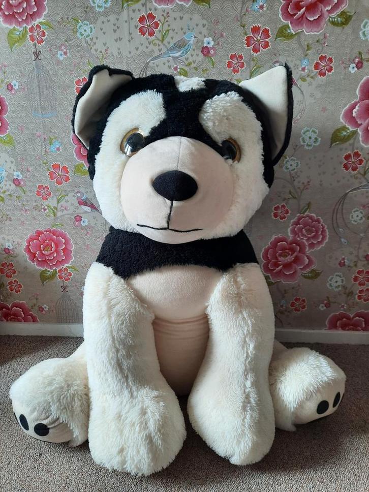 Grote Knuffel Husky - Zo Goed Als Nieuw!, Kinderen en Baby's, Speelgoed | Knuffels en Pluche, Zo goed als nieuw, Hond, Ophalen of Verzenden