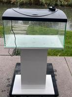 Aquarium 60x30x30 met losse voet/pilaar, Dieren en Toebehoren, Vissen | Aquaria en Toebehoren, Ophalen, Gebruikt, Leeg aquarium