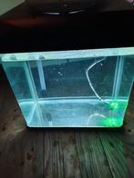 Aquarium HS Aqua Lago, Ophalen of Verzenden, Gebruikt, Leeg aquarium