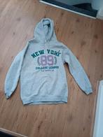 Trui hoody maat s, Ophalen of Verzenden, Zo goed als nieuw