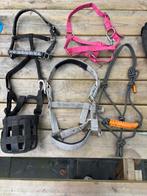 Halsters, vliegenmaskers en graasmasker, Dieren en Toebehoren, Ophalen of Verzenden, Zo goed als nieuw, Overige soorten
