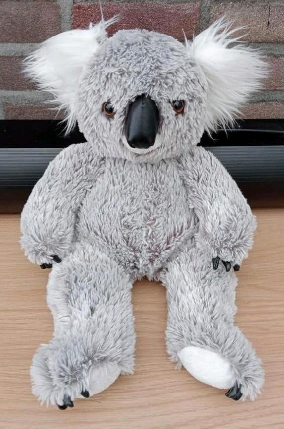 Koala beer 40cm.         Nr7, Ophalen, Zo goed als nieuw, Beer
