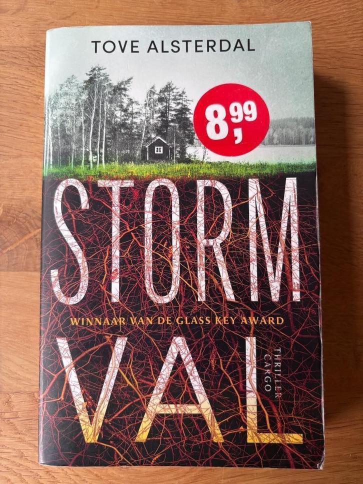 Stormval - Tove Alsterdal - Thriller, Boeken, Thrillers, Zo goed als nieuw, Scandinavië, Ophalen of Verzenden