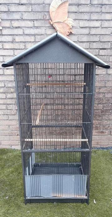 Grote vogelkooi volliere voliere verblijf hok kooi vogel beschikbaar voor biedingen
