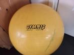 Zitbal, bodyball, fysiobal gymnic 45 cm, Sport en Fitness, Fitnessmaterialen, Ophalen of Verzenden, Gebruikt, Benen, Fitnessbal