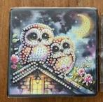 Diamond Painting Uilen notitiehouder+blok rond Nieuw, Diversen, Notitieboeken, Ophalen of Verzenden, Nieuw, A5